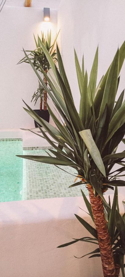 Ronda City Wall Apartments With Private Pool Экстерьер фото